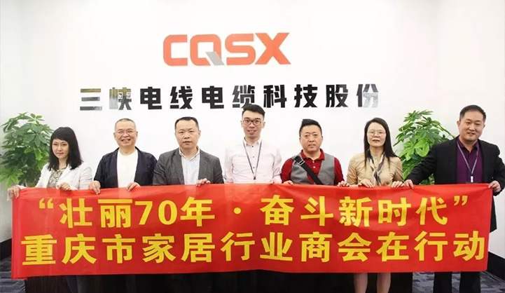 “壮丽70年•奋斗新时代”主题活动走进重庆三峡电缆集团