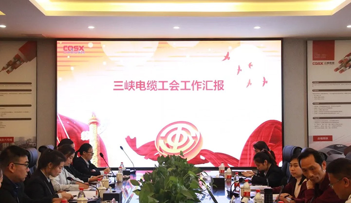 热烈欢迎重庆市江津区总工会副主席万凤华一行莅临三峡电缆​召开模范职工之家座谈会