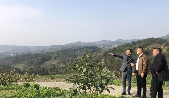 深化企村联建，助力乡村振兴！