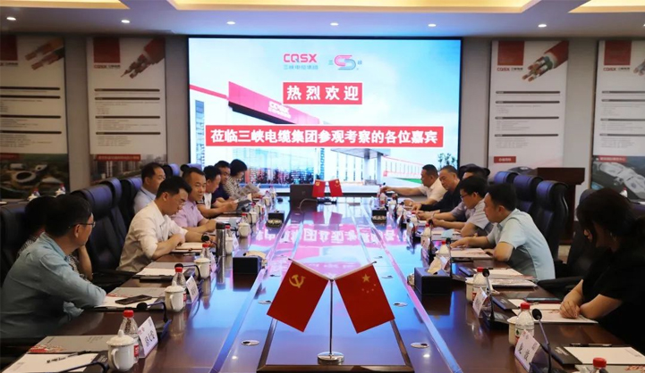 江津区委常委、副区长刘晟一行赴我司走访交流