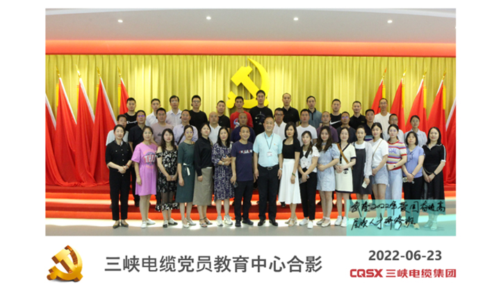 武隆区2022年爱国奋进高层次人才研修班走进三峡电缆
