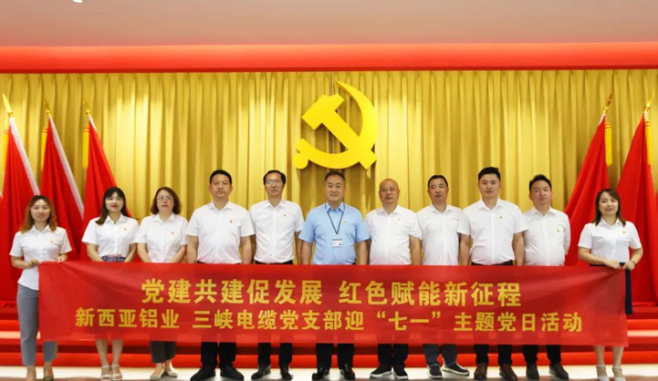 三峡电缆党支部与新西亚铝业党支部联合开展党建共建活动