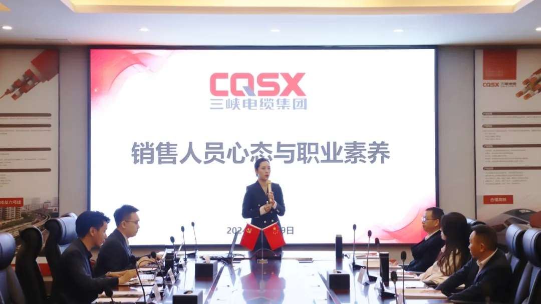 三峡资讯｜我司三季度销售总结会议圆满召开