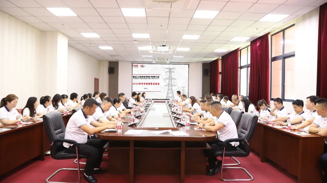 三峡资讯丨我司2025半年度销售总结会暨望变电气联谊团建活动圆满举行