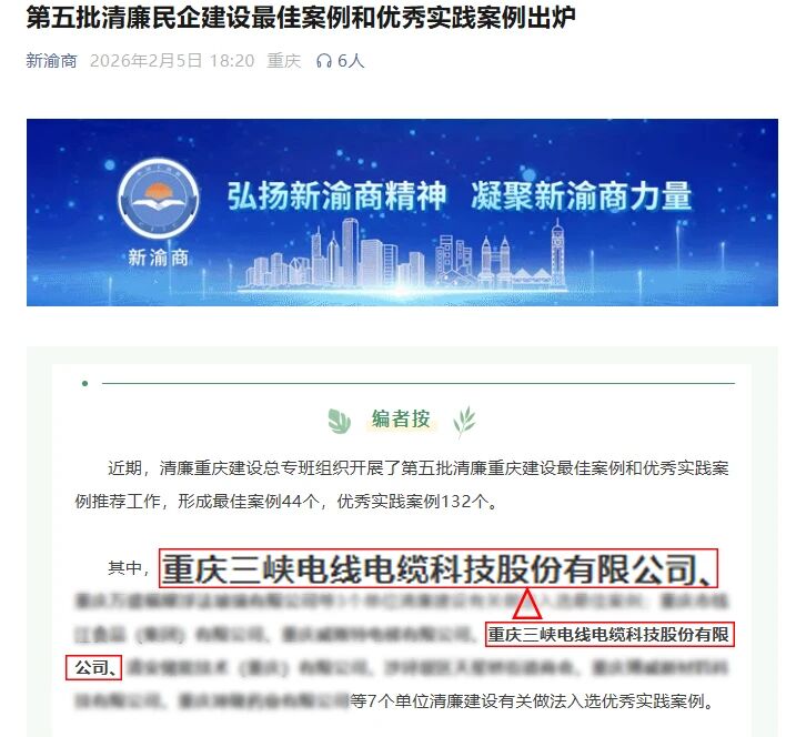 三峡荣誉丨三峡电缆荣获市级清廉民企优秀实践案例