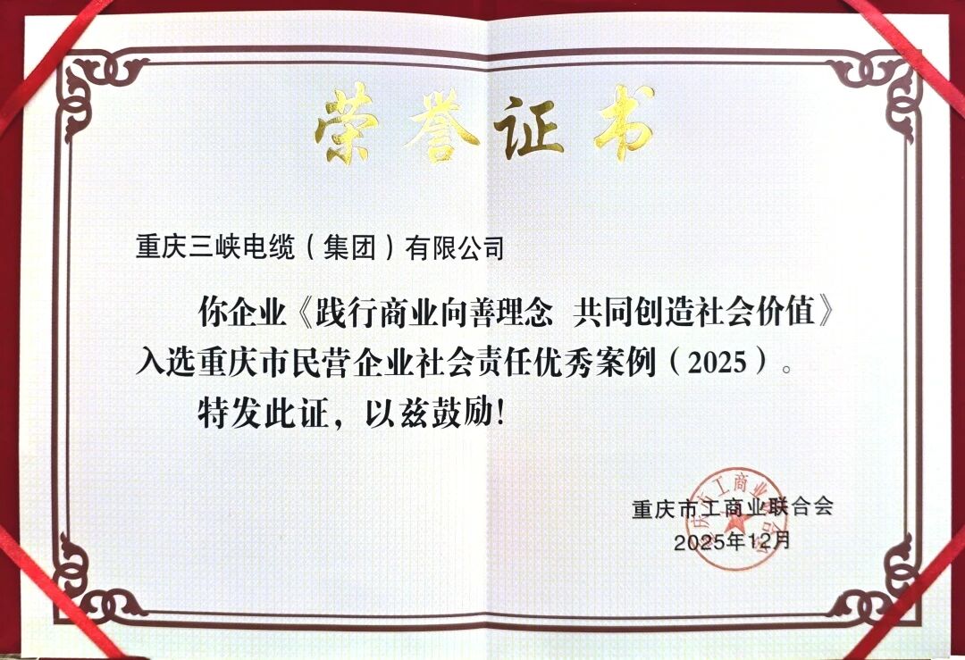 市级标杆丨我司获评“2025重庆市民营企业社会责任优秀案例”