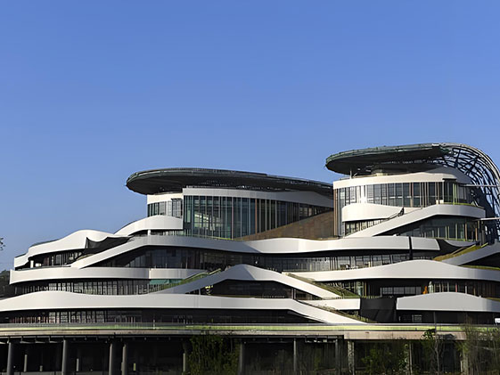 Chongqing Youth Activity Centre Project