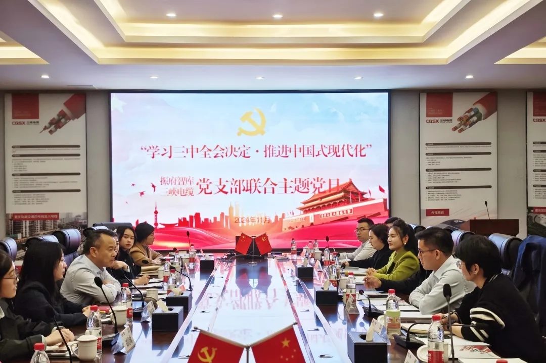 三峡党建丨振府智库与三峡电缆党支部联合开展主题党日活动