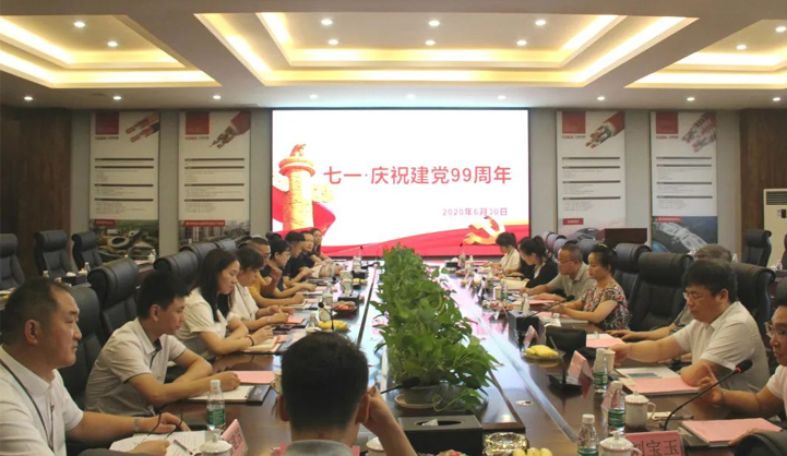 三峡电缆党支部喜迎“七一”主题党日活动