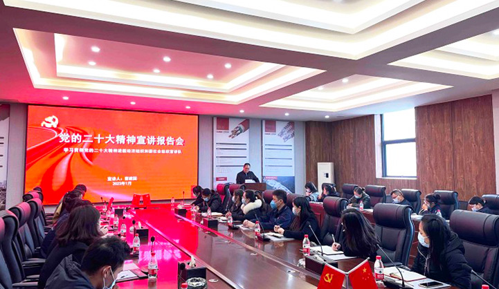 the first preach report meeting on spirit of the twentieth CPC National Congress into the ‘two new’ organisations in Jiangjin District