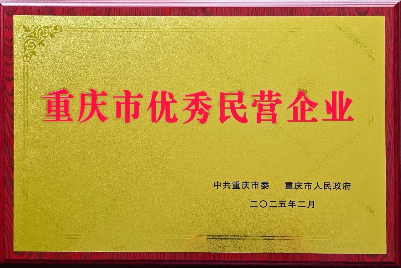重庆市优秀民营企业