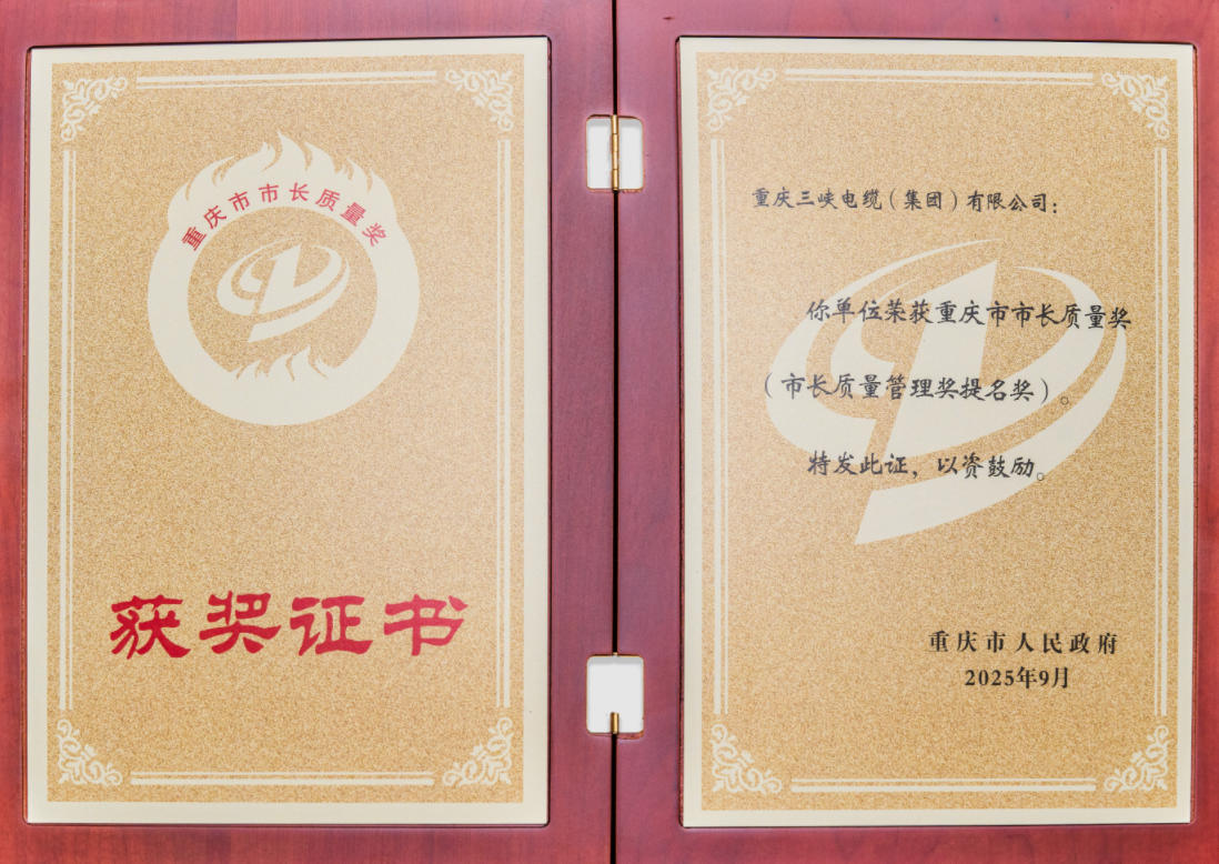 重庆市市长质量奖