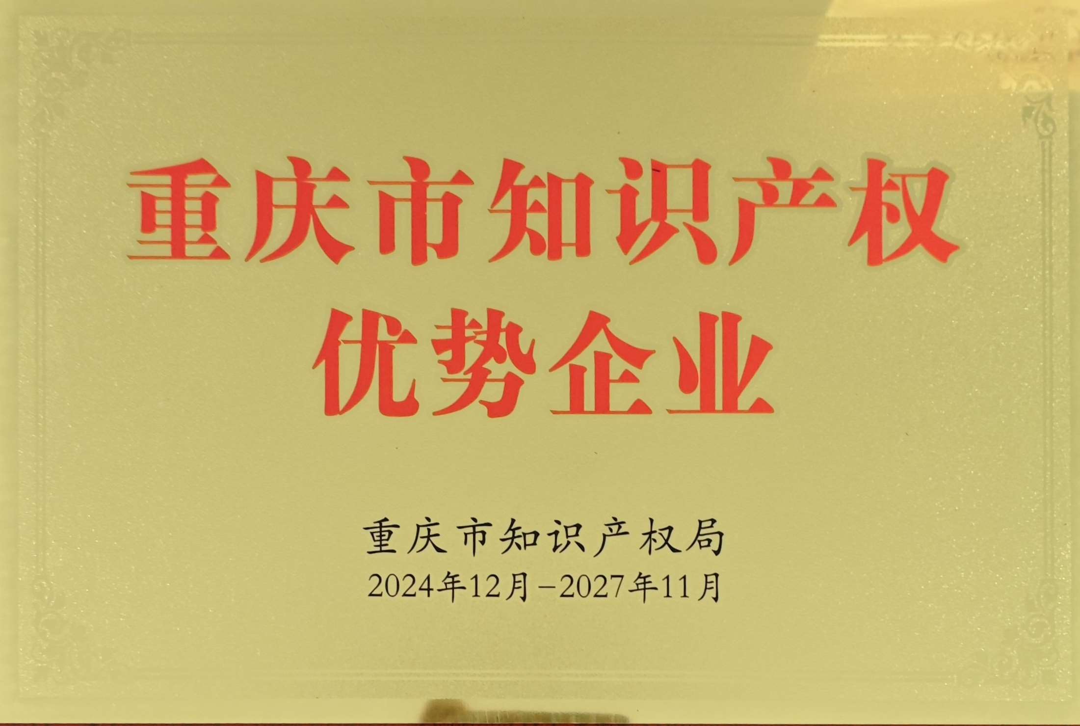 重庆市知识产权优势企业