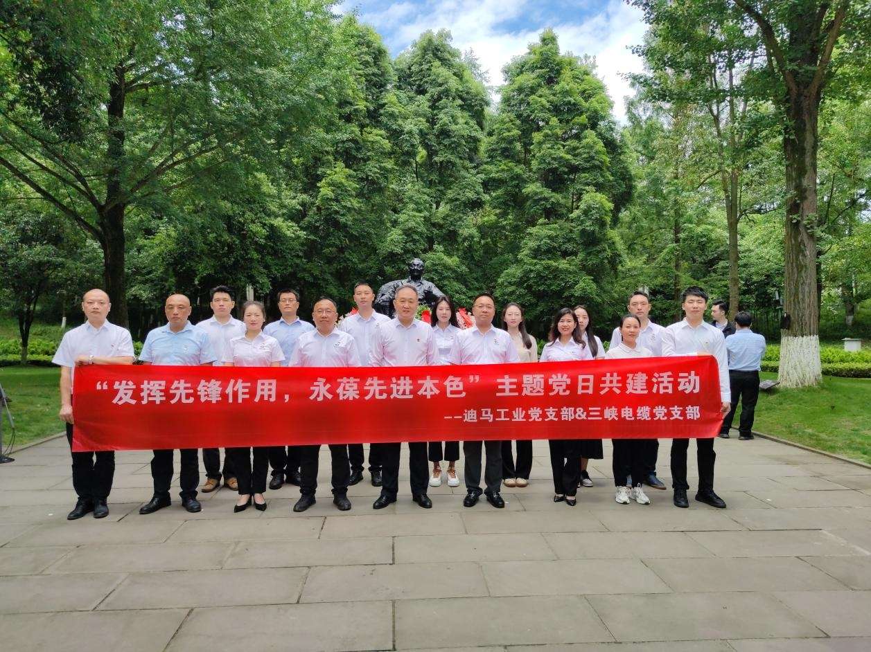 三峡党建｜三峡电缆党支部与迪马工业党支部联合开展主题党日活动