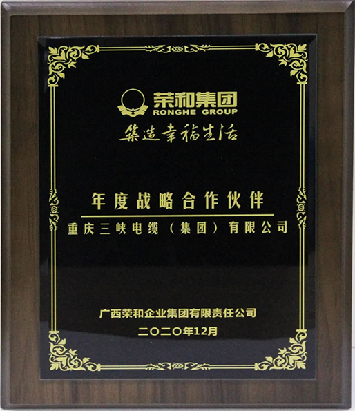 Those who share the same vision, win together in glory! Three Gorges - Ronghe ‘Strategic Partner of the Year’