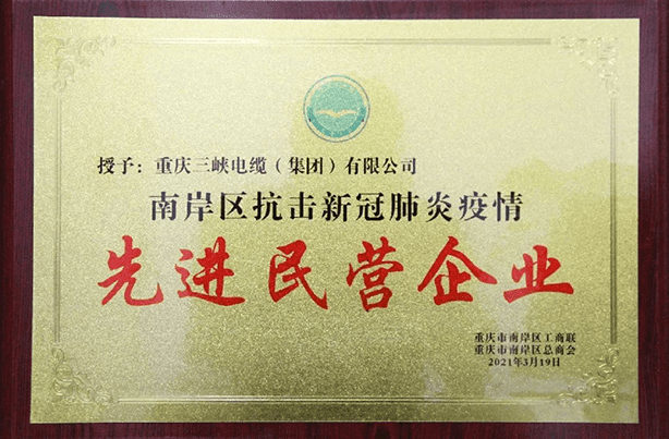 Three Gorges Cable Group was honoured with the title of ‘Advanced Private Enterprise in Combating the New Crown Pneumonia Epidemic’