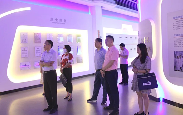 Chongqing Banan District Government Leaders and Their Departments Visited Three Gorges Cable Group