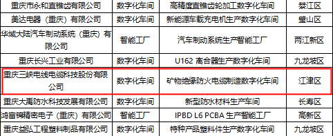 Strive to be the benchmark of intellectual manufacturing! Three Gorges Cable was awarded ‘Chongqing Digital Workshop’.