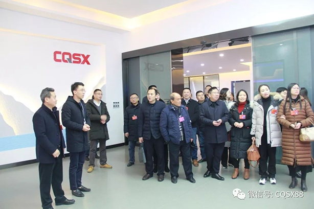 Warmly welcome the first sub-group of Jiangjin District CPPCC members to visit Three Gorges Cable Group