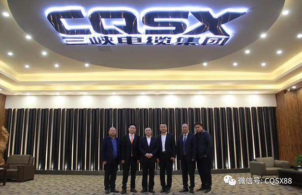 Warmly welcome the leaders of Yueqing City and Yueqing Chamber of Commerce to visit us!