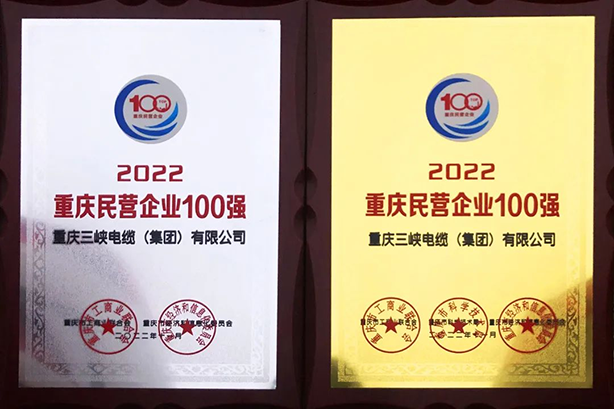 Three Gorges Cable was awarded ‘Top 100 Private Enterprises in Chongqing’ and ‘Top 100 Private Enterprises in Chongqing Manufacturing Industry’