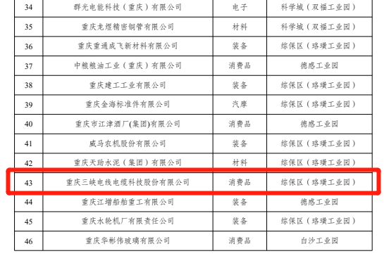 Good News! Three Gorges Cable was honoured to be on the list of key industrial enterprises in Jiangjin District in 2022!