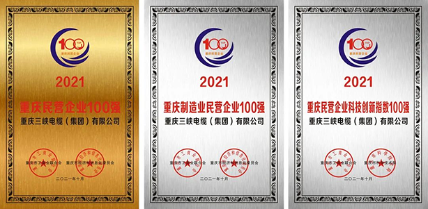 Three Gorges Cable honoured as one of Chongqing's Top 100 Private Enterprises