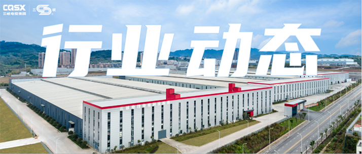 The Political Bureau of the Central Committee of the Communist Party of China held a meeting to consider the Outline of the Plan for the Construction of the Chengdu-Chongqing Twin-city Economic Circle